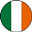Irish Flag Micro Geocoin