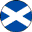 Scotland Flag Micro Geocoin