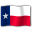 Travel Flag Texas