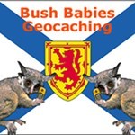 Bush Babies