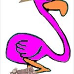 Flamingowing