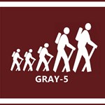 Gray-5