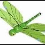 GreenDragonfly