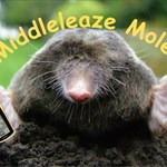 Middleleaze Moles