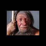 Neanderthalers