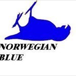 Norwegian Blue