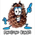 PineCone Bandit