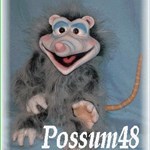 Possum48