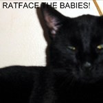 RatFace