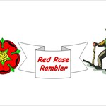 Red Rose Rambler