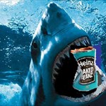 Sharks-N-Beans