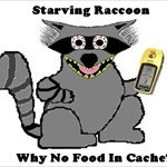 Starving Raccoon