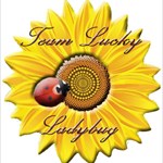 Team Lucky Ladybug