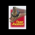 Team Racedog
