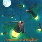 Tennessee Fireflies