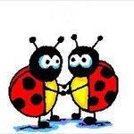 The Ladybugs