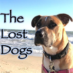 The_Lost_Dogs