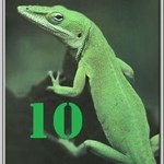 chameleon10