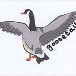 goosetail