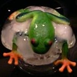 icefrog