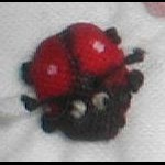 ladybug*