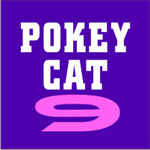pokeycat9