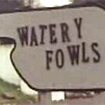 watery fowls