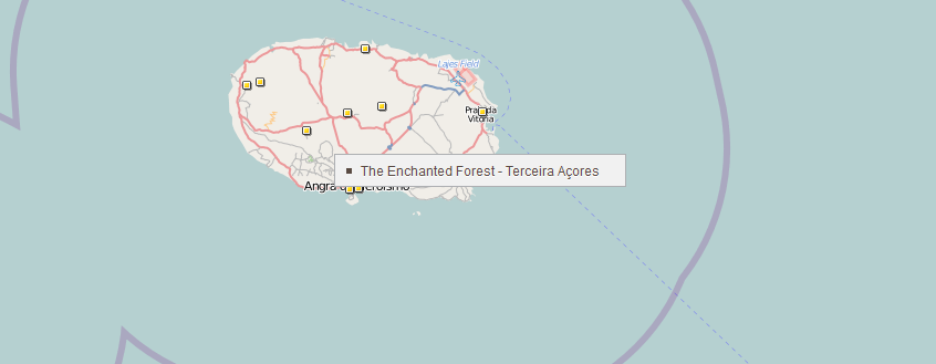 the enchanted forest 5