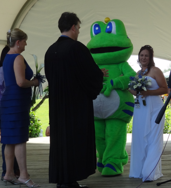 Signal Gives Away the Bride