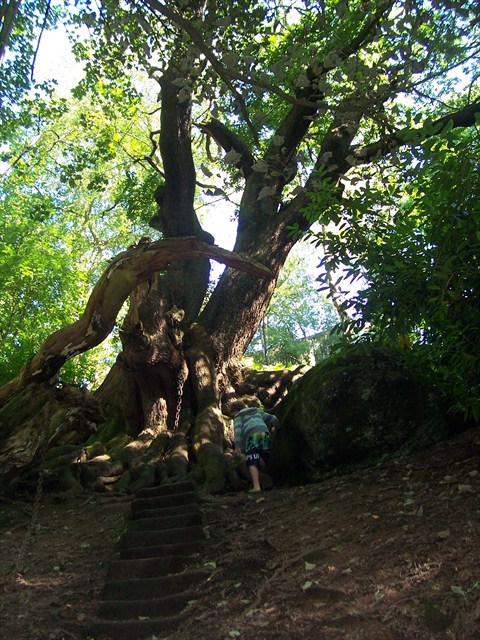 Something Sinister IV