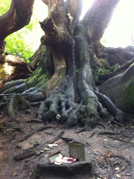 Something Sinister V