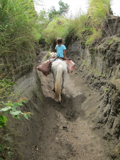 Taal Volcano III