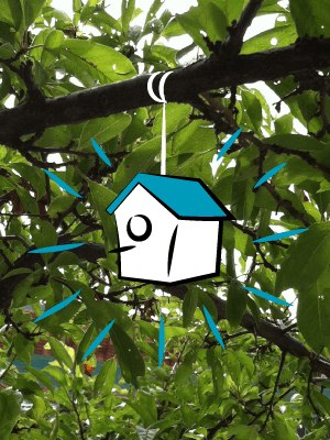 weekly mailer blog geocache hide