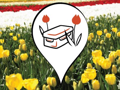 WeeklyMailer_10282013_WritingBetterHints_vFINAL_Blog