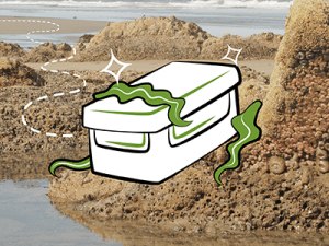 WeeklyMailer_111113_QualityGeocacheContainers_vFINAL_Blog