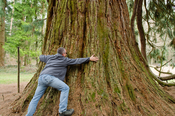 I bet this geocacher made sure to CITO after hugging the tree. Photo by geocacher Vincent05