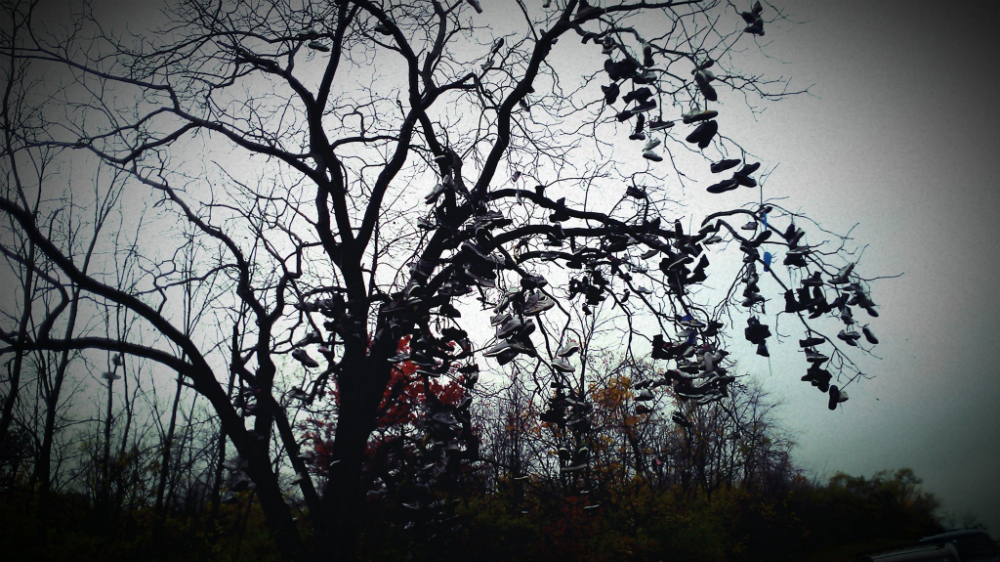 The Tree of Soles. Photo by geocacher RebelGTP