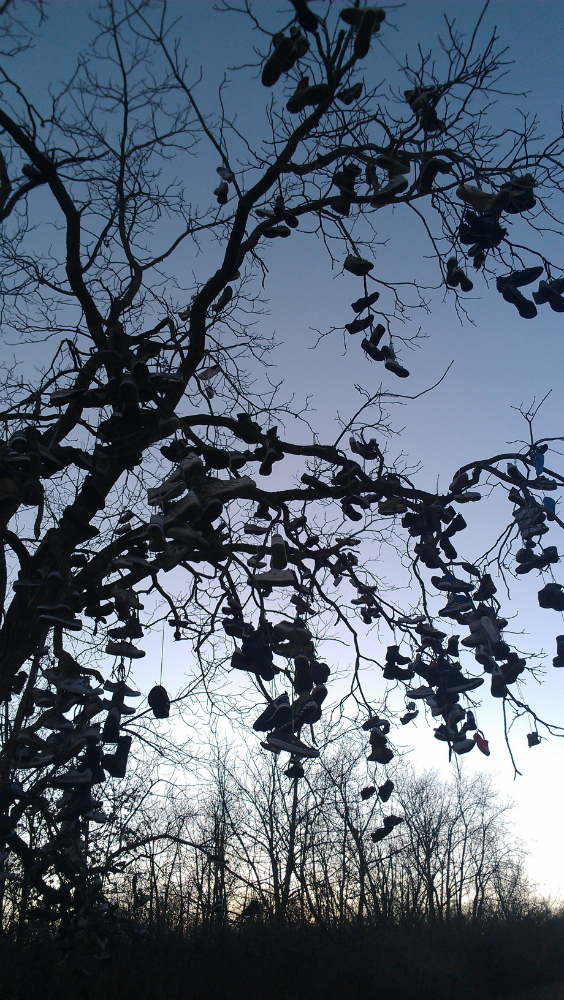 There's something special about this place, but I can't quite put my foot on it. Photo by geocacher madameyounger