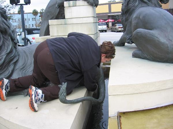 I just hope the lion didn't wake up after this. Photo by geocacher haley4tn