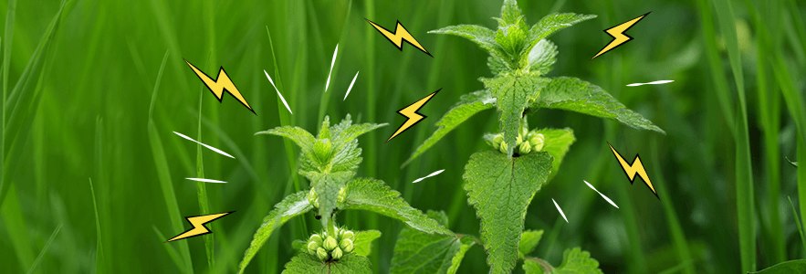 MailerImage_06022014_SafetyTips_vFINAL_BLOG