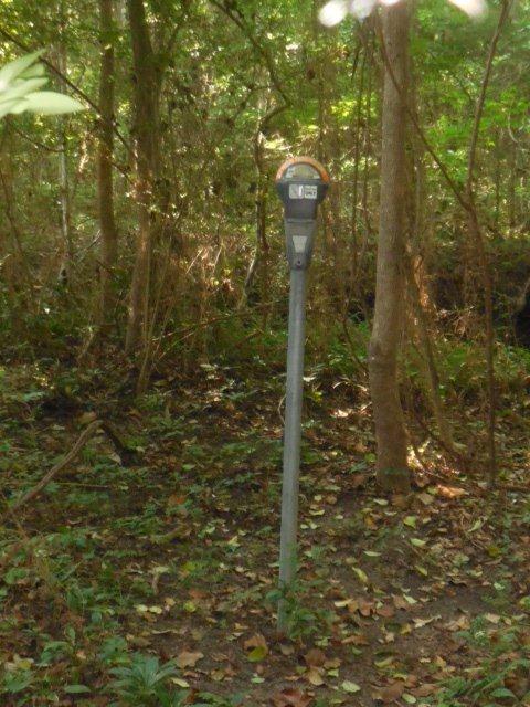Walking up to this in the middle of the woods may be a bit confusing. Photo courtesy of Tallahassee-Lassie