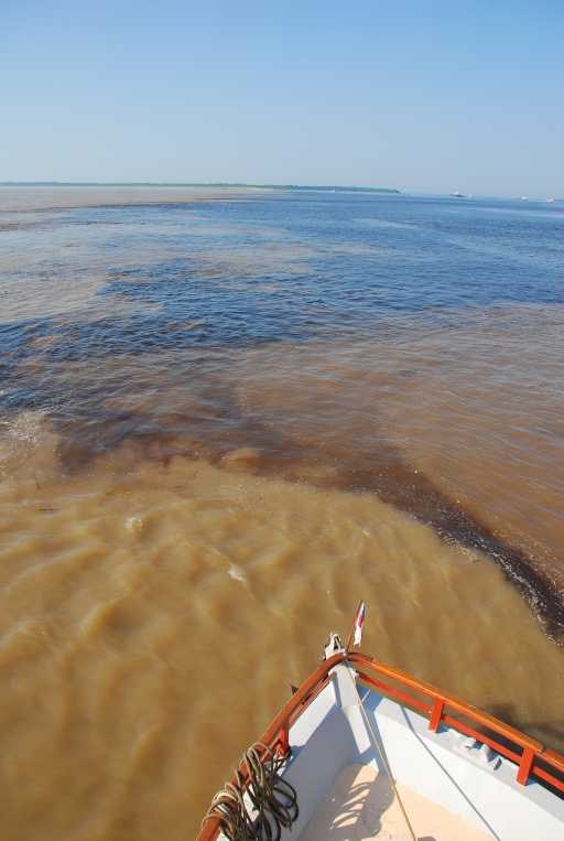 It looks like coffee to me. Photo by geocacher TheBraendlis