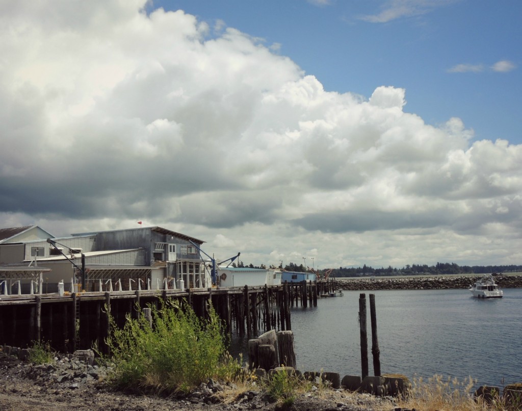 You might think this is an ordinary pier in Blaine, WA, but GC2VW16 is nearby.