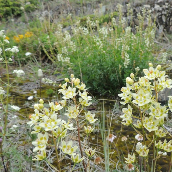 1618147_10202242627201645_1496979249_o