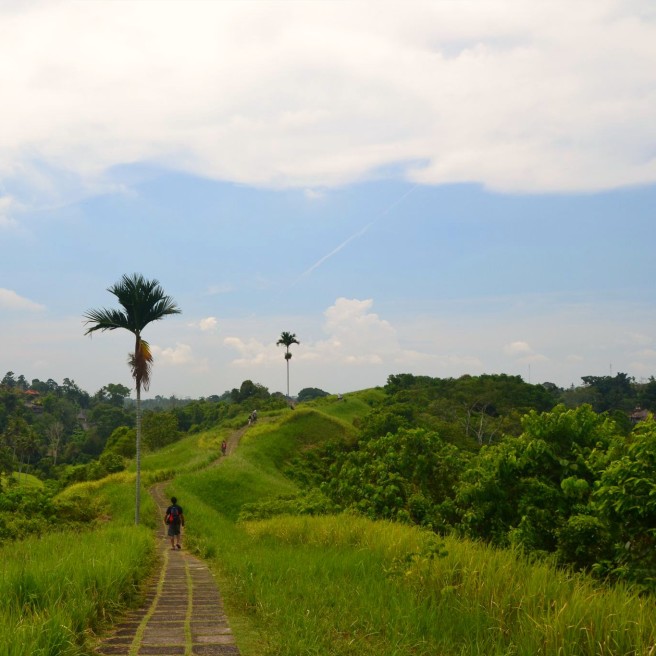 e60928b9-681a-472d-a4ad-bca1aab541a0