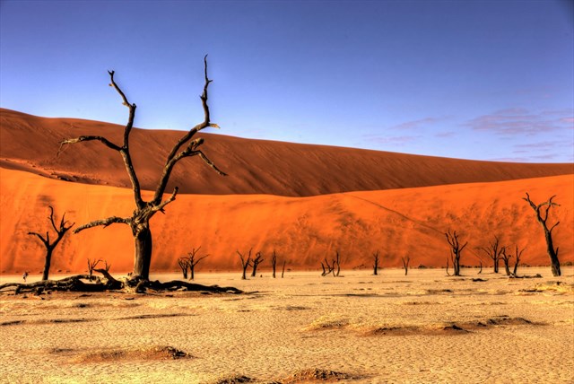 Namib Desert, Namibia GC14W63