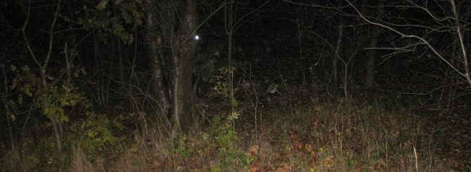 Can you spot the FireTack at GC41CCZ? by kari9999 Can you spot the FireTack at GC41CCZ? by kari9999