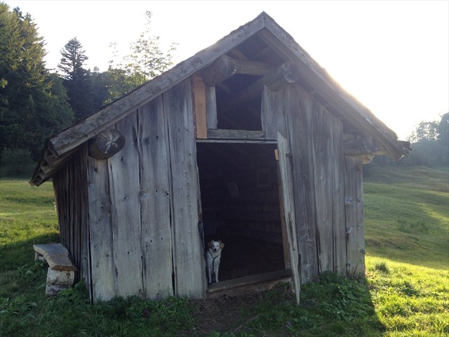 The geocache. No not behind the house, it IS the house. Photo by geocacher MCDenifl