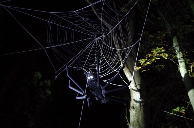 MEGAPHOBIA is basically a large-scale version of my nightmare. Photo by geocacher stooby