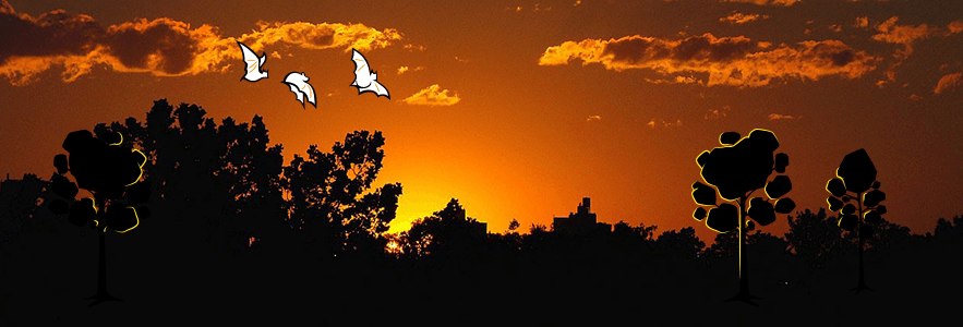 MailerImage_10132014_NightCaches_vFINAL_blog